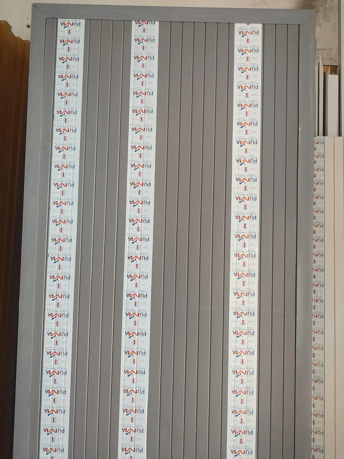 Ace Door