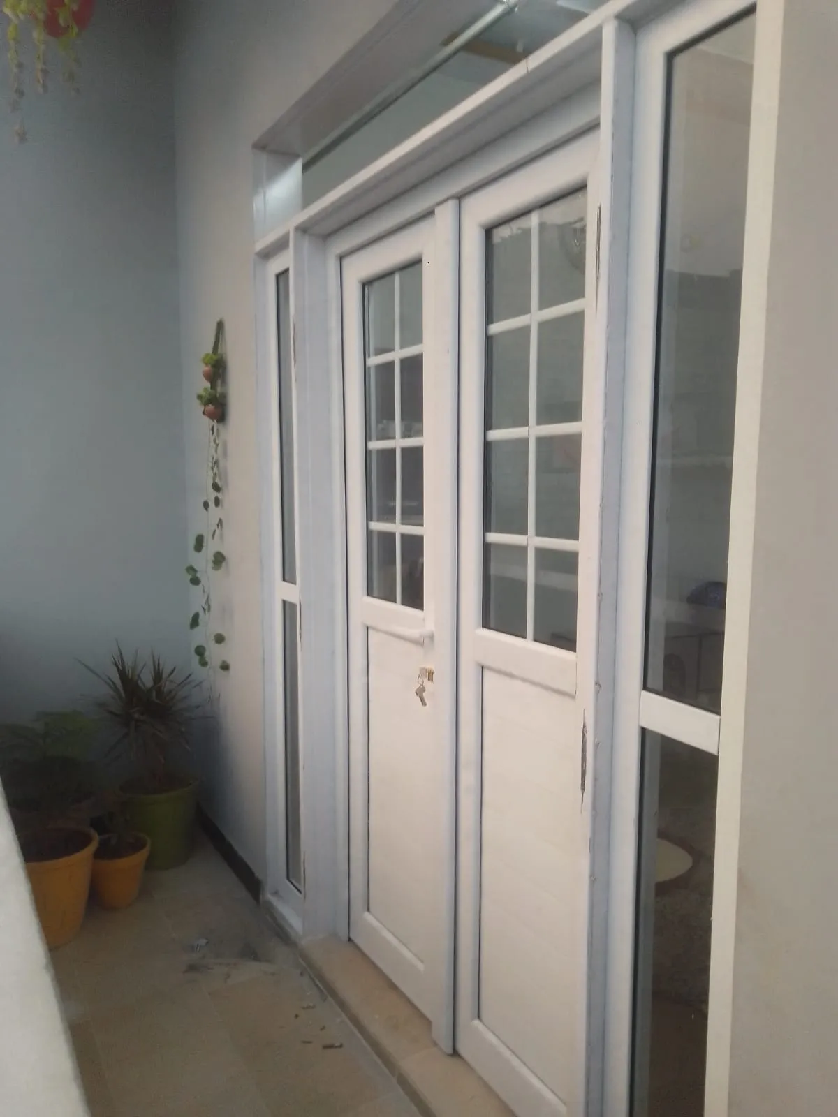 Upvc Profile Door With Georgian Bar